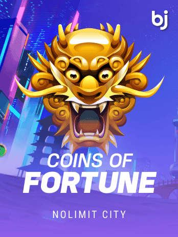 Coins of Fortune screenshot
